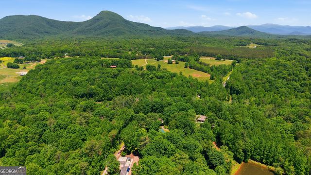 313 Pratten Drive, Cleveland, GA 30528