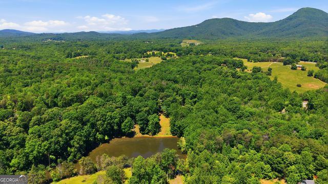 313 Pratten Drive, Cleveland, GA 30528