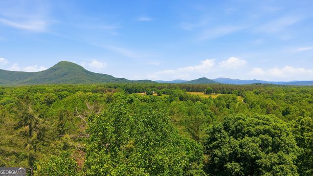 313 Pratten Drive, Cleveland, GA 30528