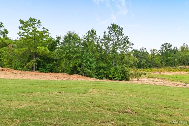 134 Madix Drive, Eclectic, AL 36024