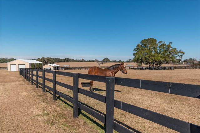 12610 NW GAINESVILLE ROAD, Reddick, FL 32686