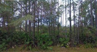 NE 65TH AVENUE, Citra, FL 32113