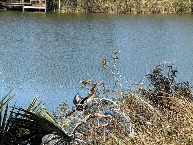 74 HERON DRIVE, Palm Coast, FL 32137