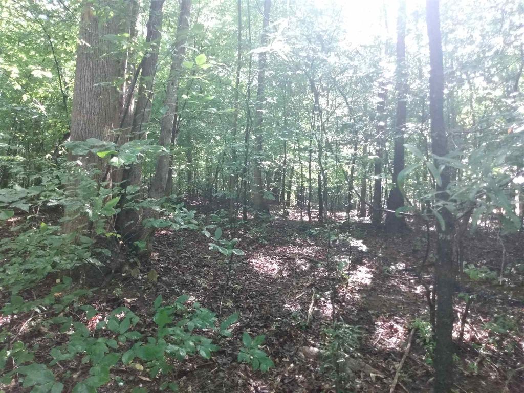 0 Bow Drive, Lavonia, GA 30553 — photo 2
