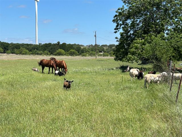 495 FM 2005, Goldthwaite, TX 76844