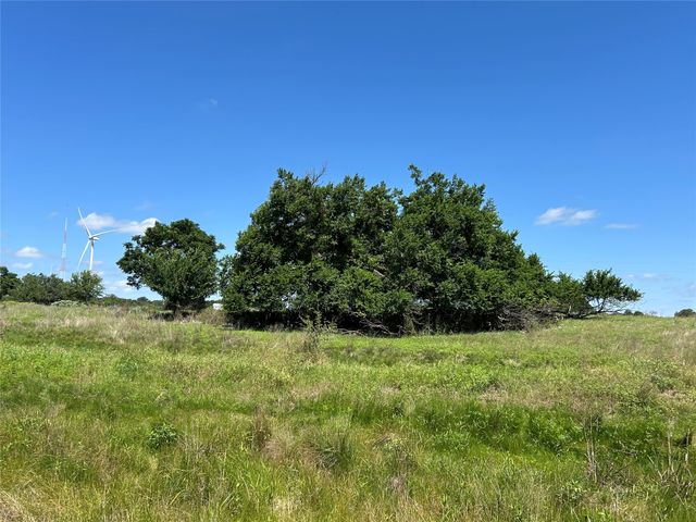 495 FM 2005, Goldthwaite, TX 76844