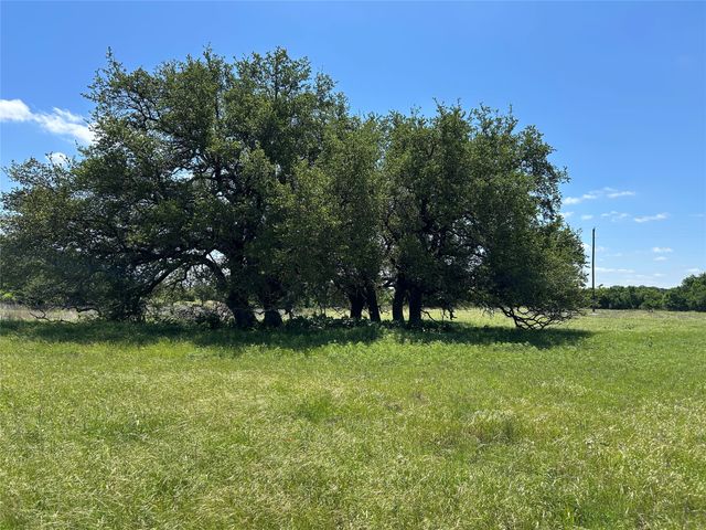 495 FM 2005, Goldthwaite, TX 76844