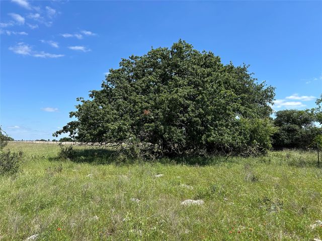 495 FM 2005, Goldthwaite, TX 76844