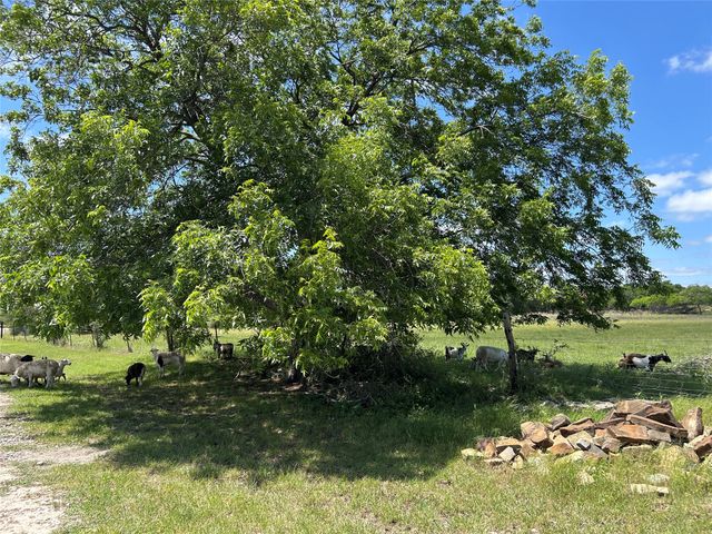 495 FM 2005, Goldthwaite, TX 76844