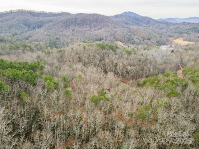 380 Buttercup Lane, Marion, NC 28752