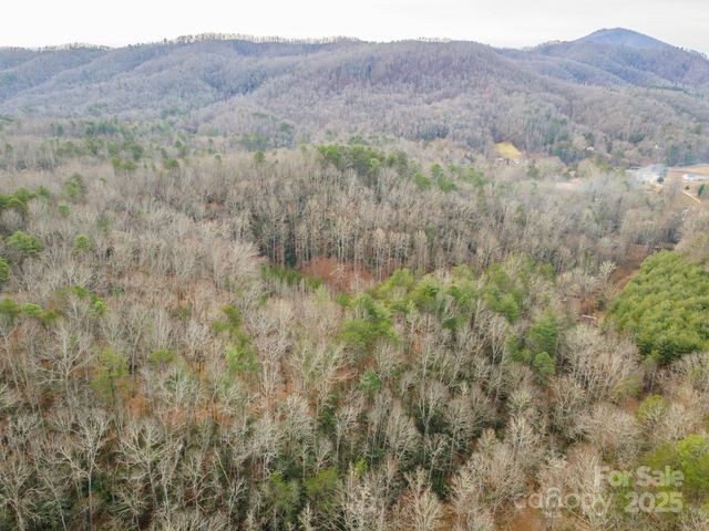 380 Buttercup Lane, Marion, NC 28752