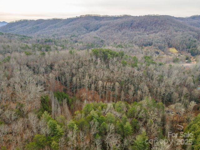 380 Buttercup Lane, Marion, NC 28752