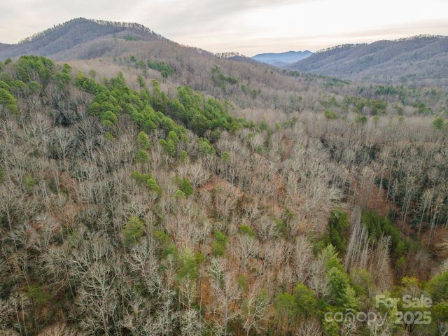 380 Buttercup Lane, Marion, NC 28752