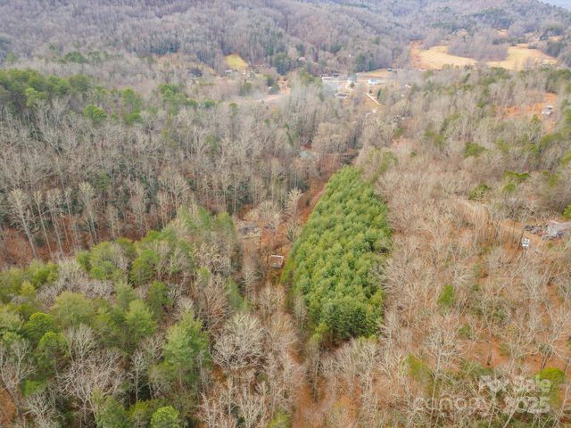 380 Buttercup Lane, Marion, NC 28752