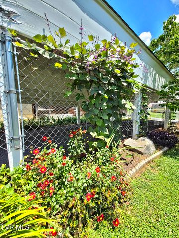 1009 Riverside Avenue, Kingsport, TN 37660