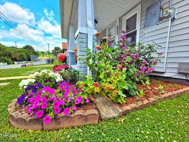 1009 Riverside Avenue, Kingsport, TN 37660