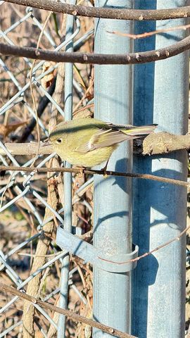 12760 County Road 1047, Farmersville, TX 75442