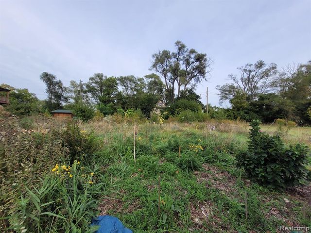 3028 Baldwin Street, Detroit, MI 48214