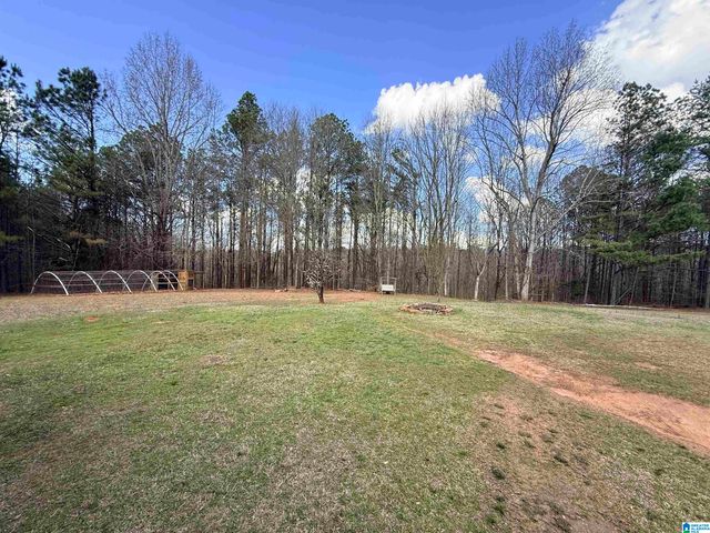180 COUNTY ROAD 45, Roanoke, AL 36274