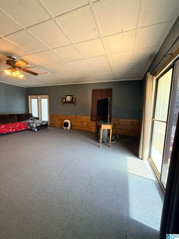 180 COUNTY ROAD 45, Roanoke, AL 36274