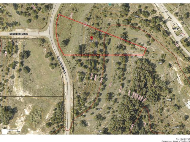 1217 RIO CENTRAL DR, Spring Branch, TX 78070
