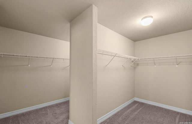 1427 Garden Laurel, New Braunfels, TX 78130