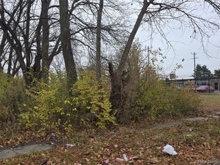 17163 Hawthorne Street, Highland Park, MI 48203