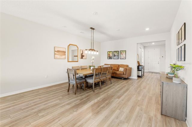 5269 FOOTHILLS PRESERVE LOOP, Mount Dora, FL 32757