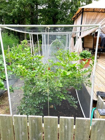 337 Jonathans Way, Brewster, MA 02631