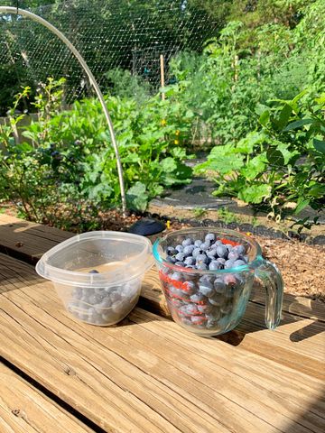 337 Jonathans Way, Brewster, MA 02631