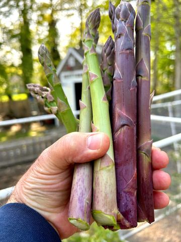 337 Jonathans Way, Brewster, MA 02631