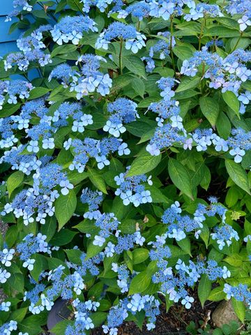 337 Jonathans Way, Brewster, MA 02631