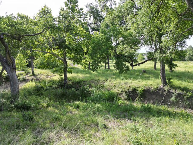 Lot 29 Serenity DR, Bertram, TX 78605