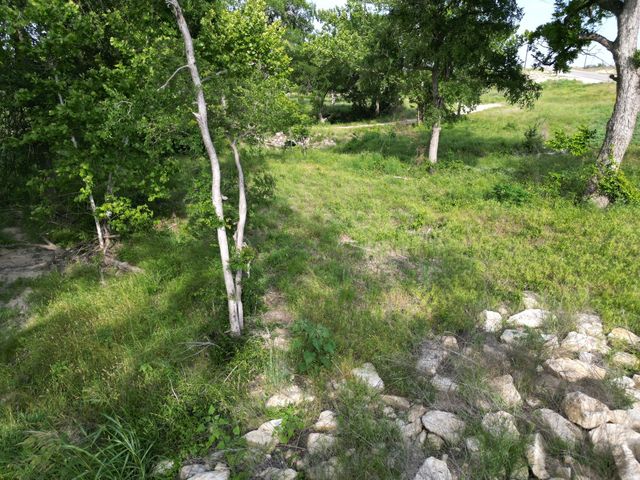 Lot 29 Serenity DR, Bertram, TX 78605
