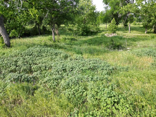 Lot 29 Serenity DR, Bertram, TX 78605