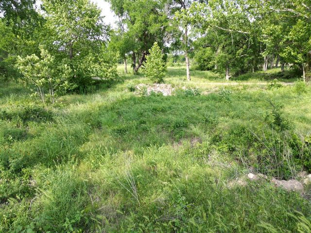 Lot 29 Serenity DR, Bertram, TX 78605