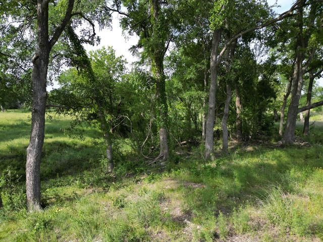 Lot 29 Serenity DR, Bertram, TX 78605