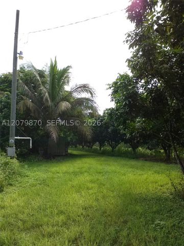 19675 SW 165 Avenue, Miami, FL 33187