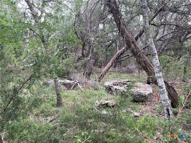 1021 Santa Fe Trail, Spring Branch, TX 78070