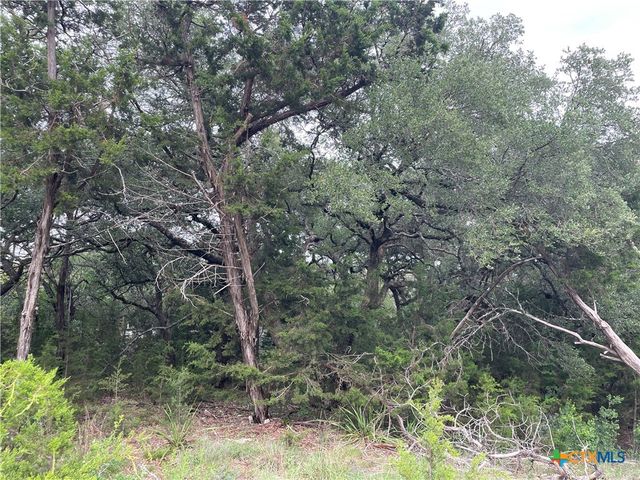 1021 Santa Fe Trail, Spring Branch, TX 78070