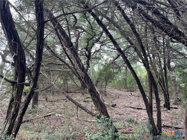 1021 Santa Fe Trail, Spring Branch, TX 78070