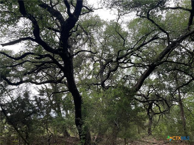 1021 Santa Fe Trail, Spring Branch, TX 78070