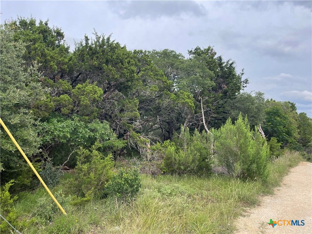 1021 Santa Fe Trail, Spring Branch, TX 78070