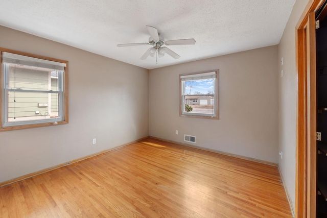 1217 Lincoln Avenue, Saint Paul Park, MN 55071