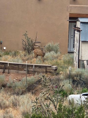 29 CAMINO DE LOS DESMONTES, Placitas, NM 87043
