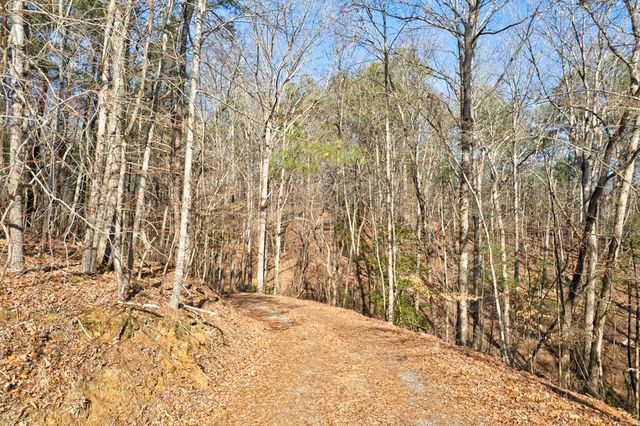 673 Harold Pritchett Road, Ellijay, GA 30540