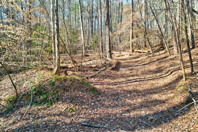 673 Harold Pritchett Road, Ellijay, GA 30540