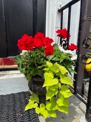 7 Lee Street 1, Marblehead, MA 01945