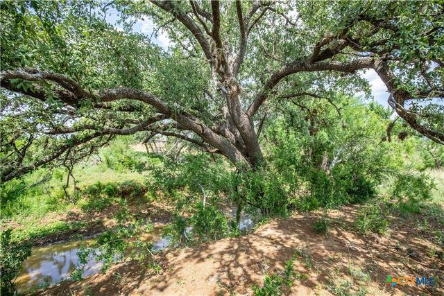 574 PR Goose Creek Lane, Jourdanton, TX 78026