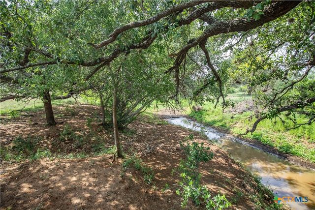 574 PR Goose Creek Lane, Jourdanton, TX 78026